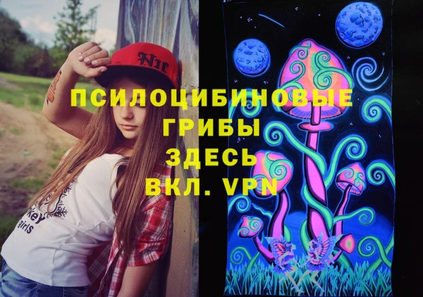 шишки Алексеевка