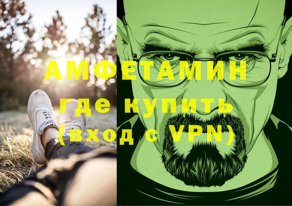 хмурый Абаза