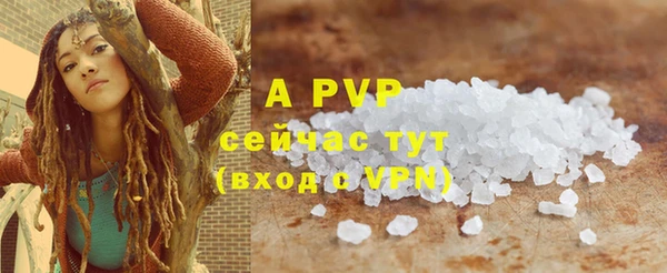 хмурый Абаза