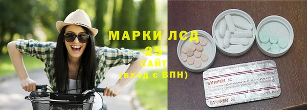 хмурый Абаза