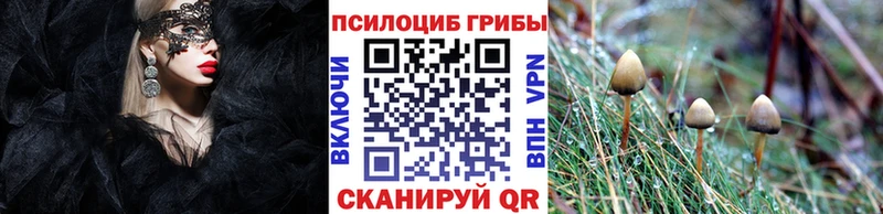 маркетплейс официальный сайт  Тутаев  Галлюциногенные грибы Psilocybe 
